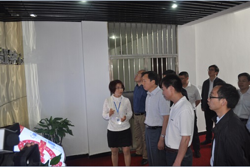 四川省宜宾市南溪区肖区长等陪同中央组织部干训局陈局长等莅临“数字南溪社会服务中心”检查指导工作